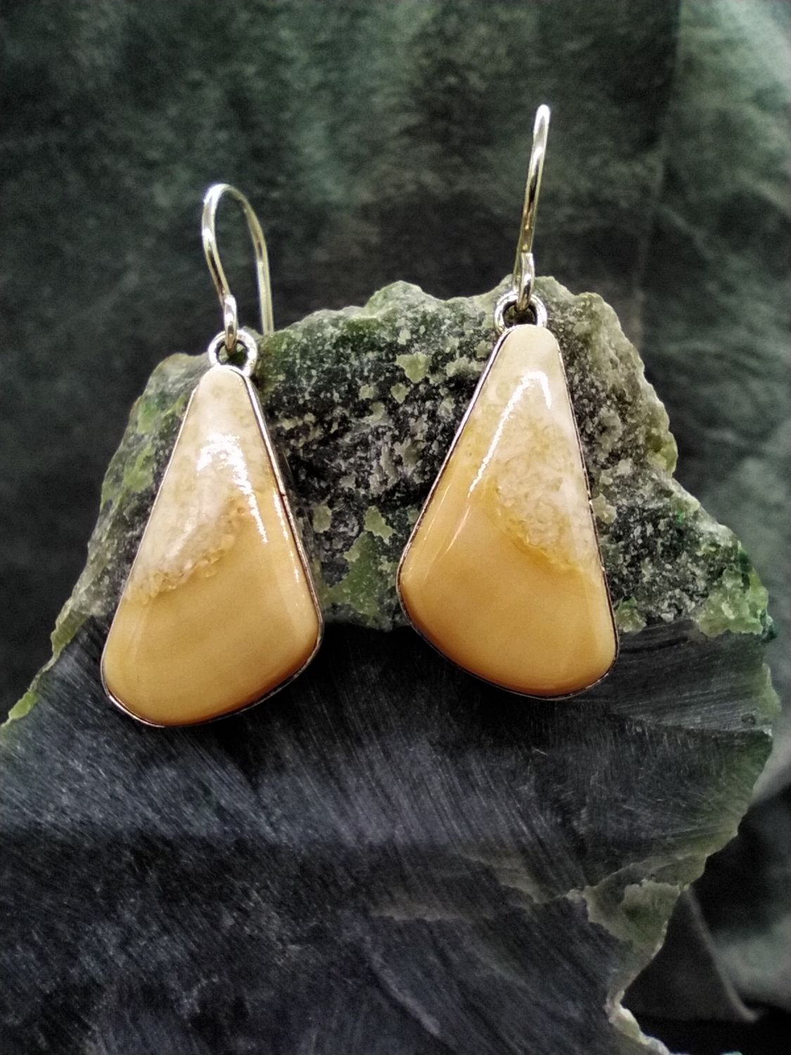 Fossil Walrus Ivory Earrings