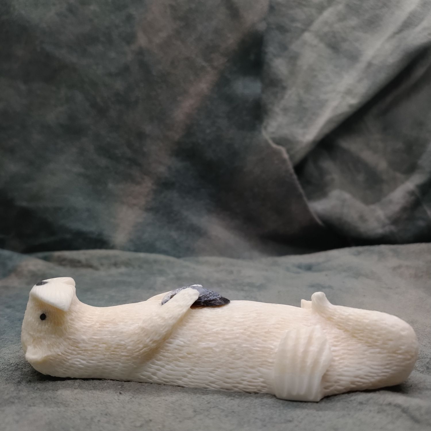 Floating Sea Otter with Mussel
