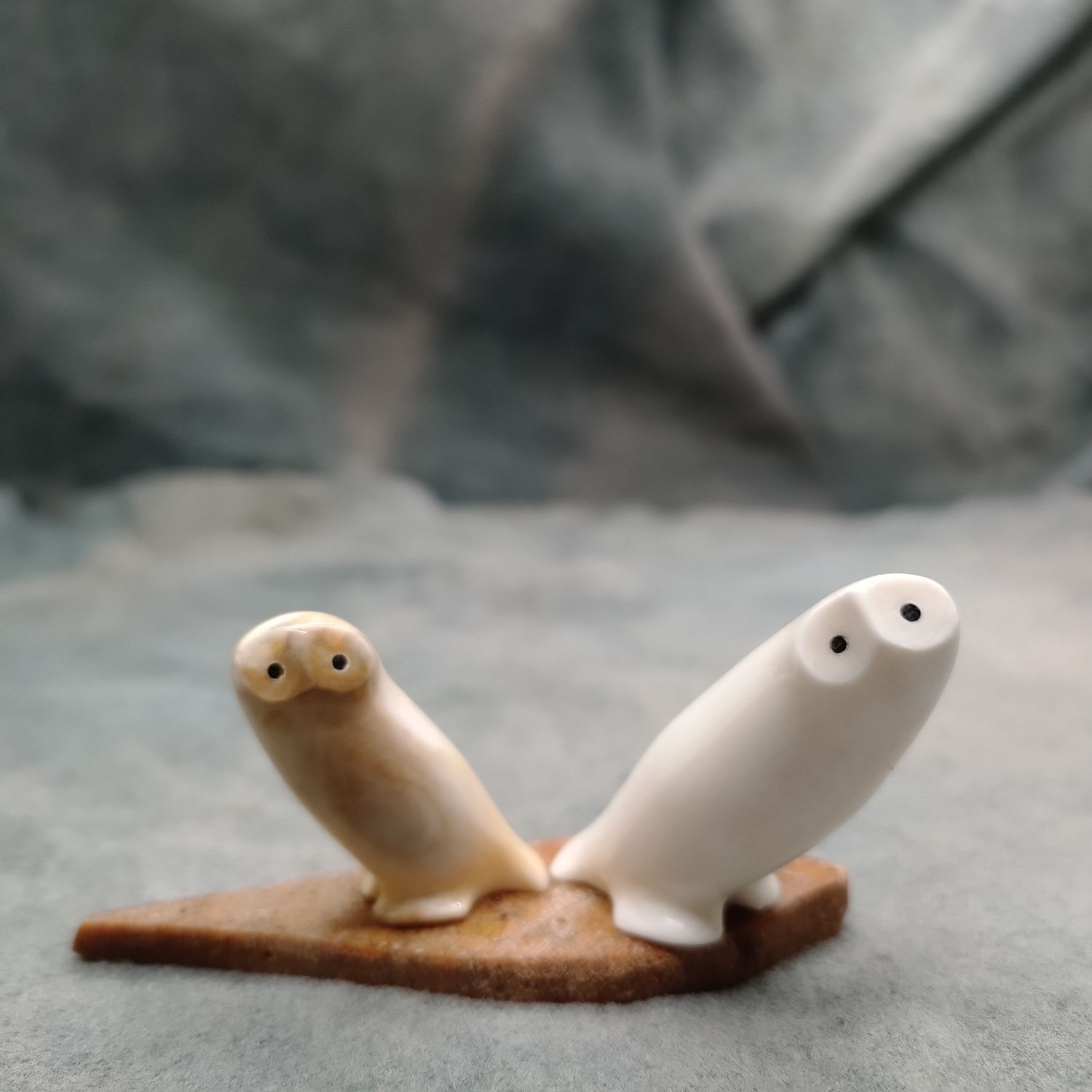 Owl Duo