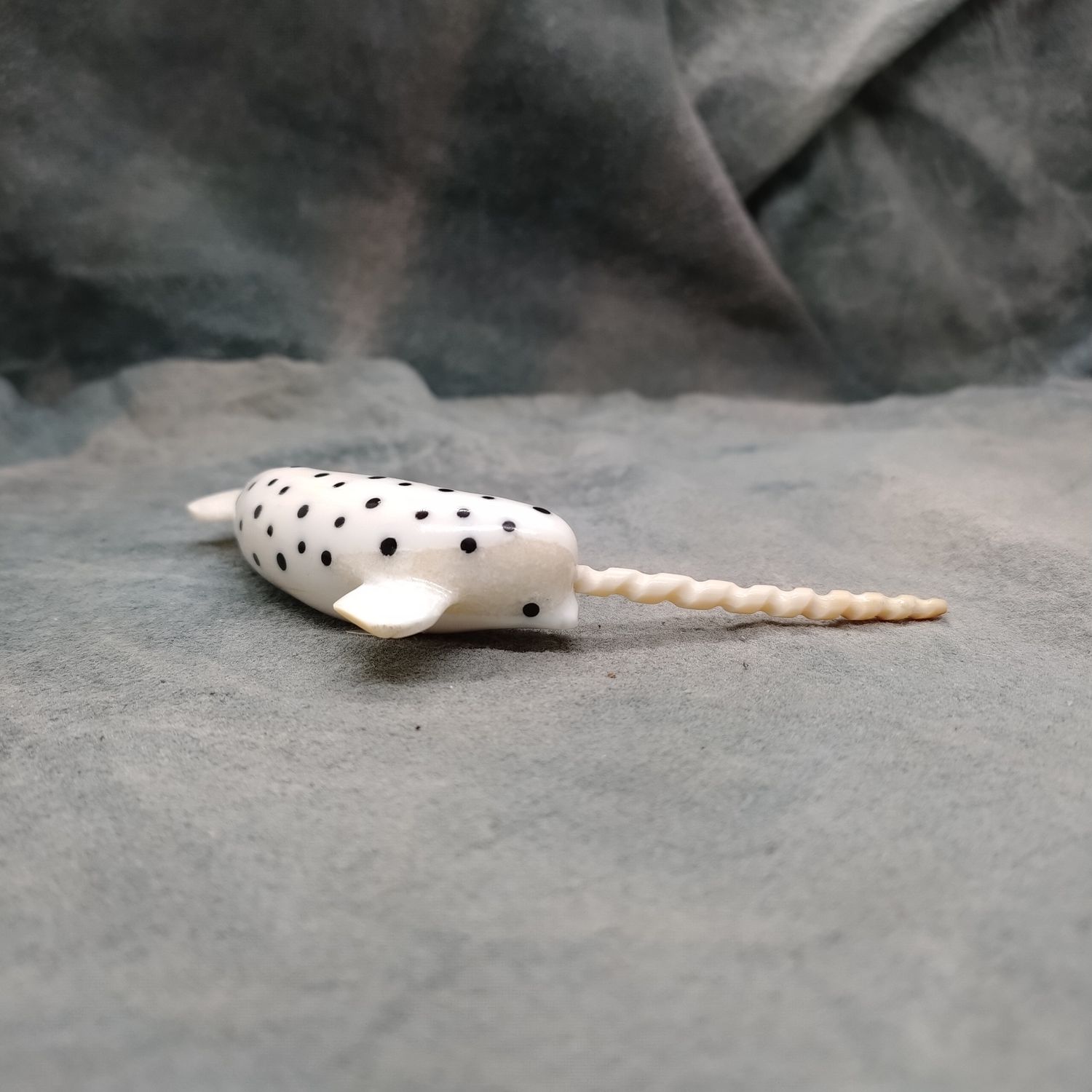 Spotted Narwhal