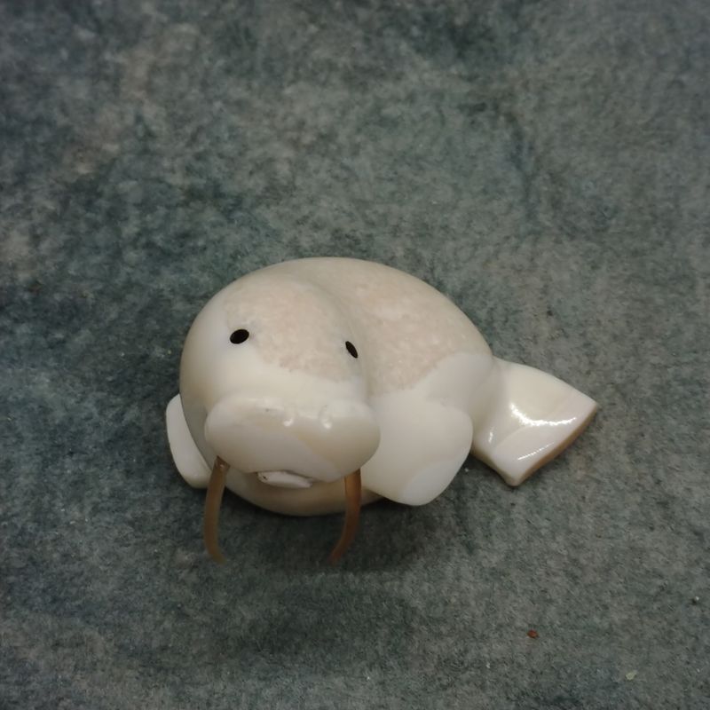 Walrus