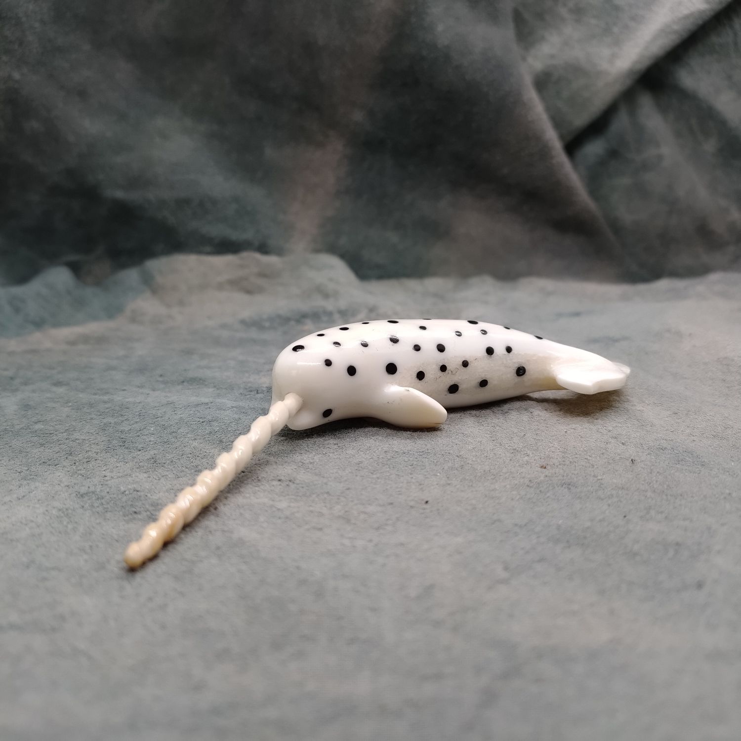 Spotted Narwhal
