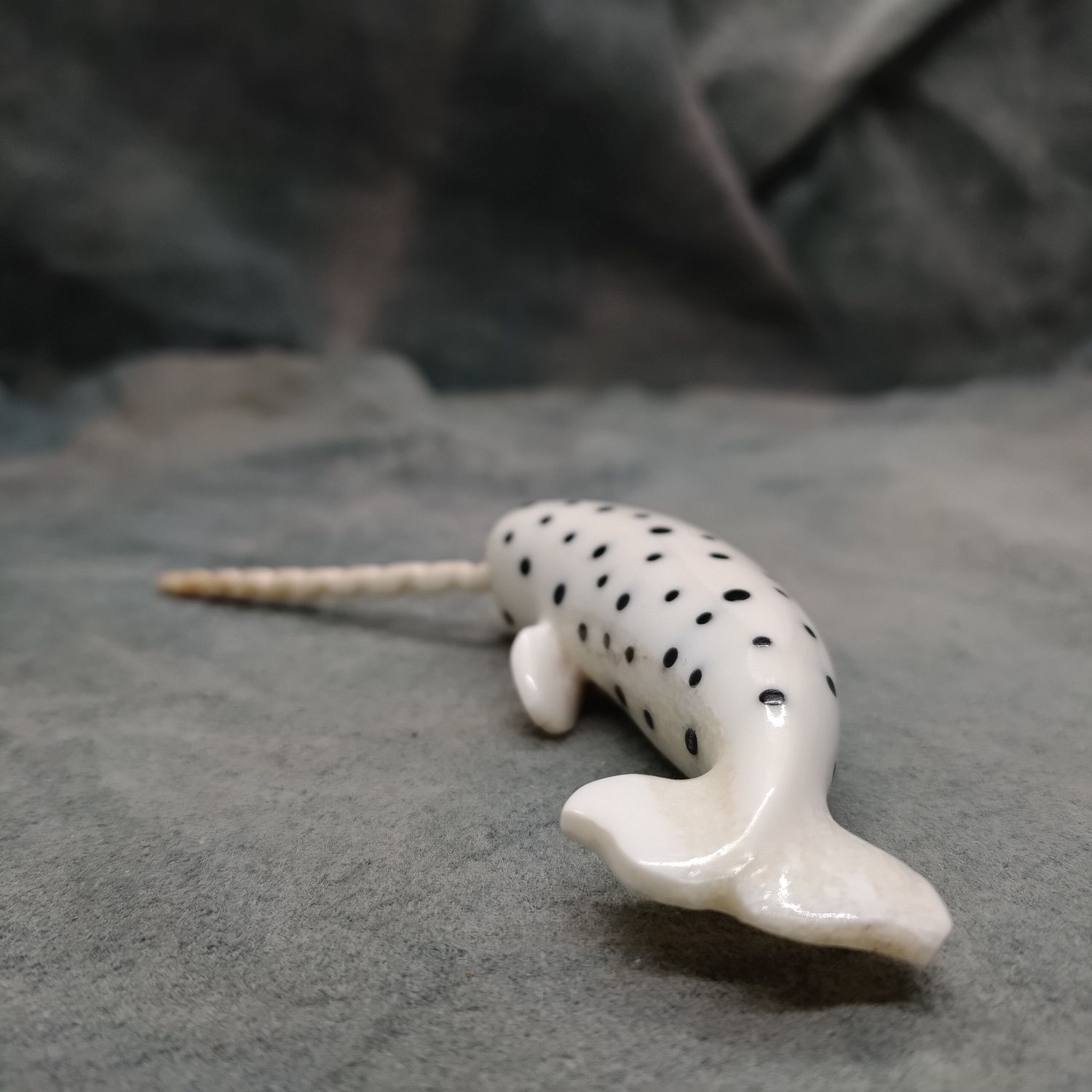 Spotted Narwhal
