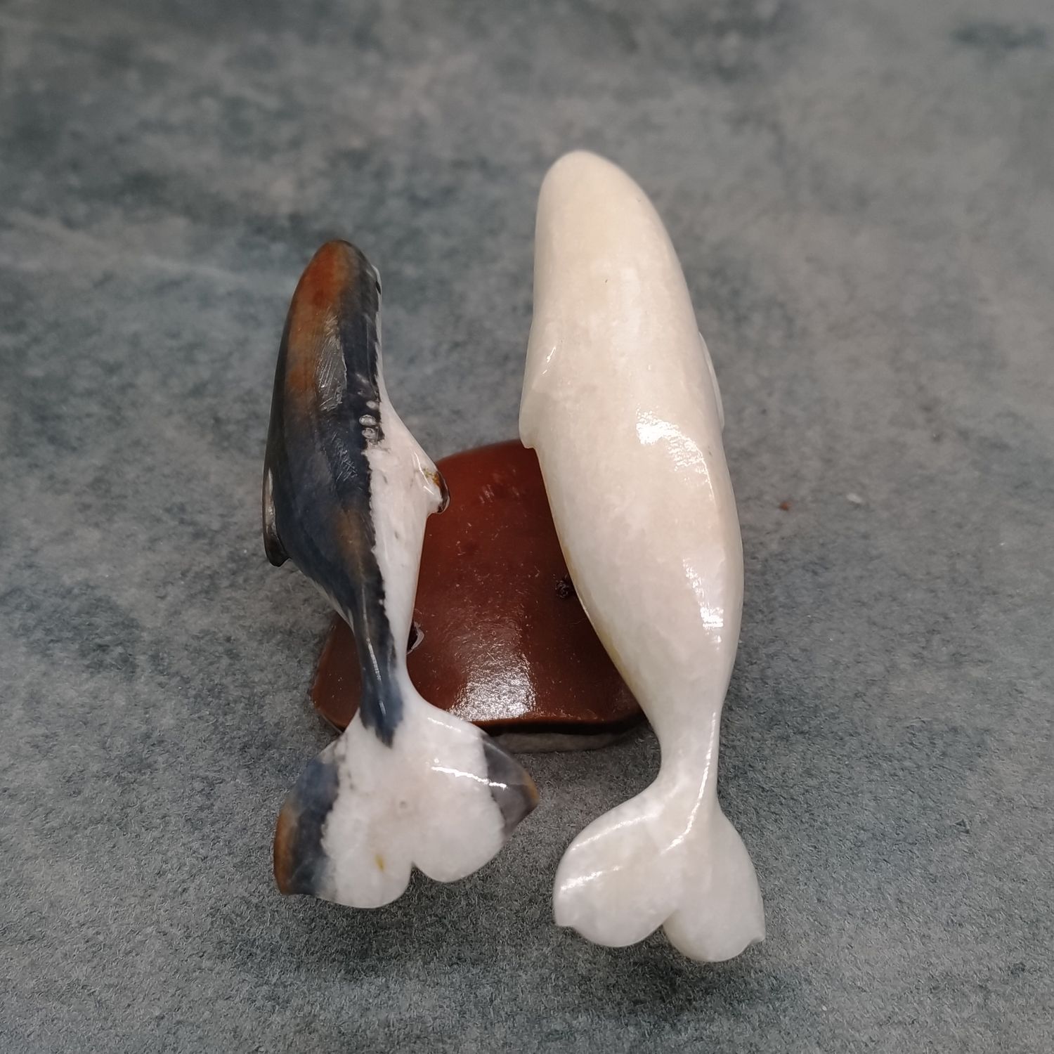 Whale Duo