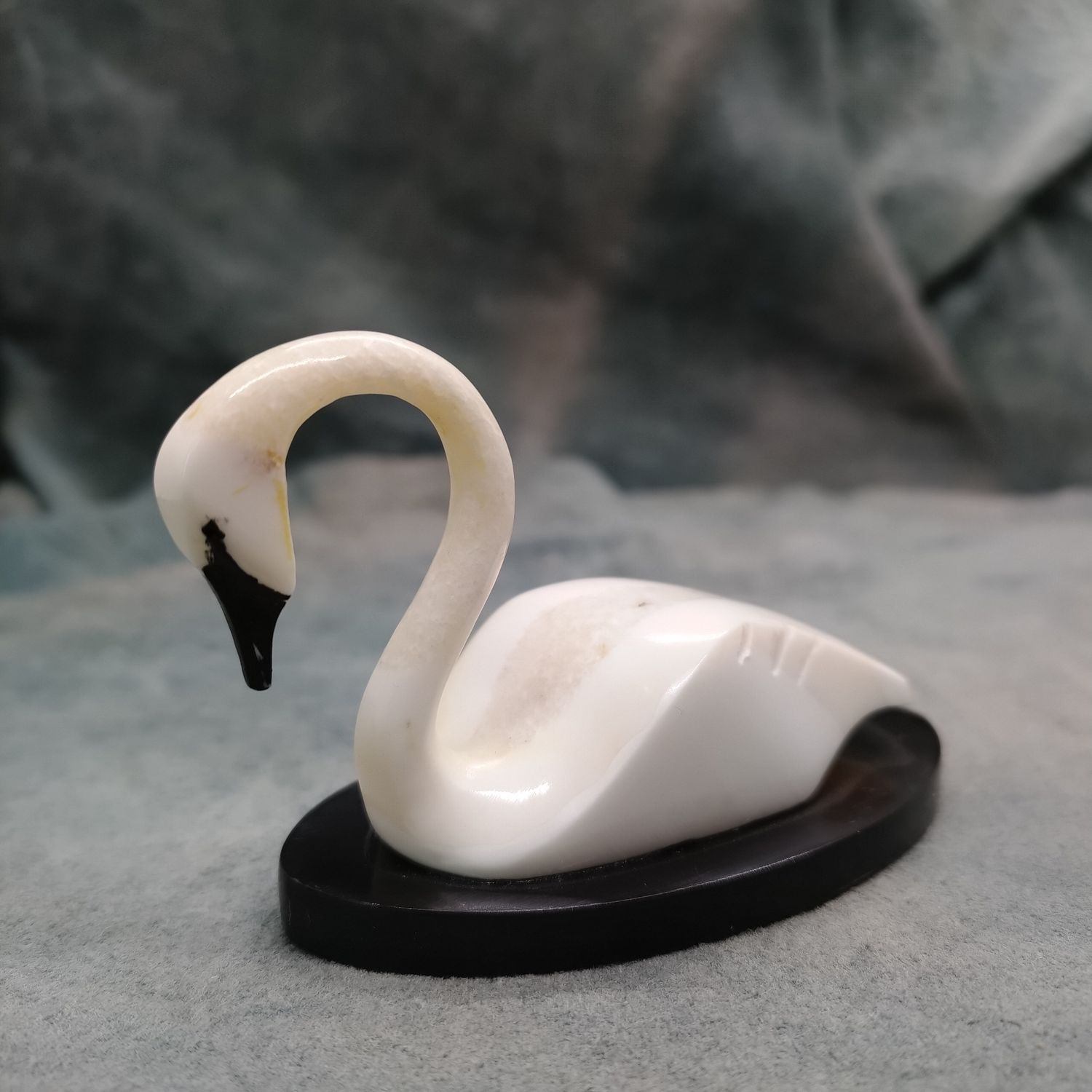 Swan