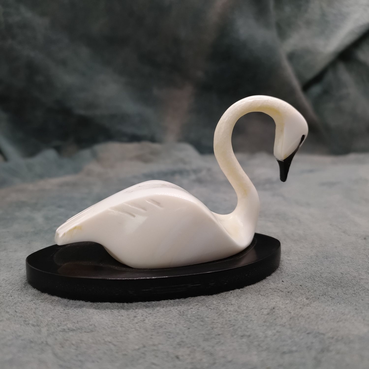 Swan