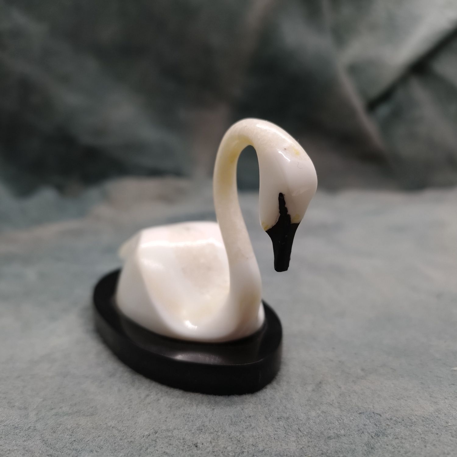 Swan