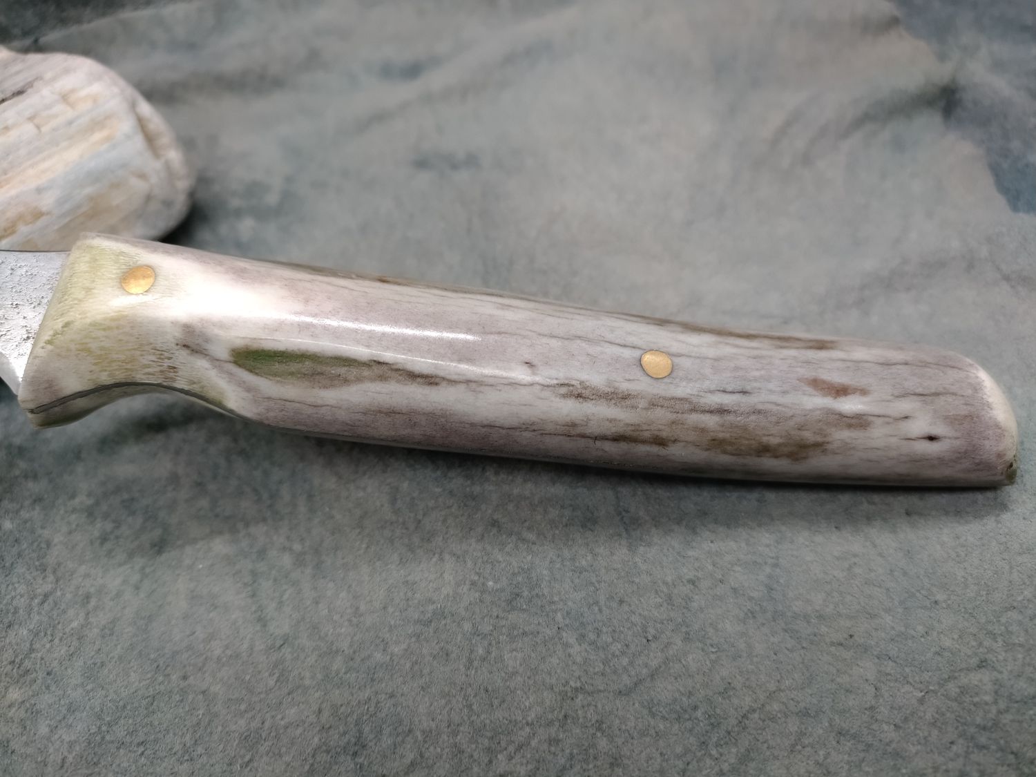 High Carbon Steel and Shed Caribou Antler Trout Knife