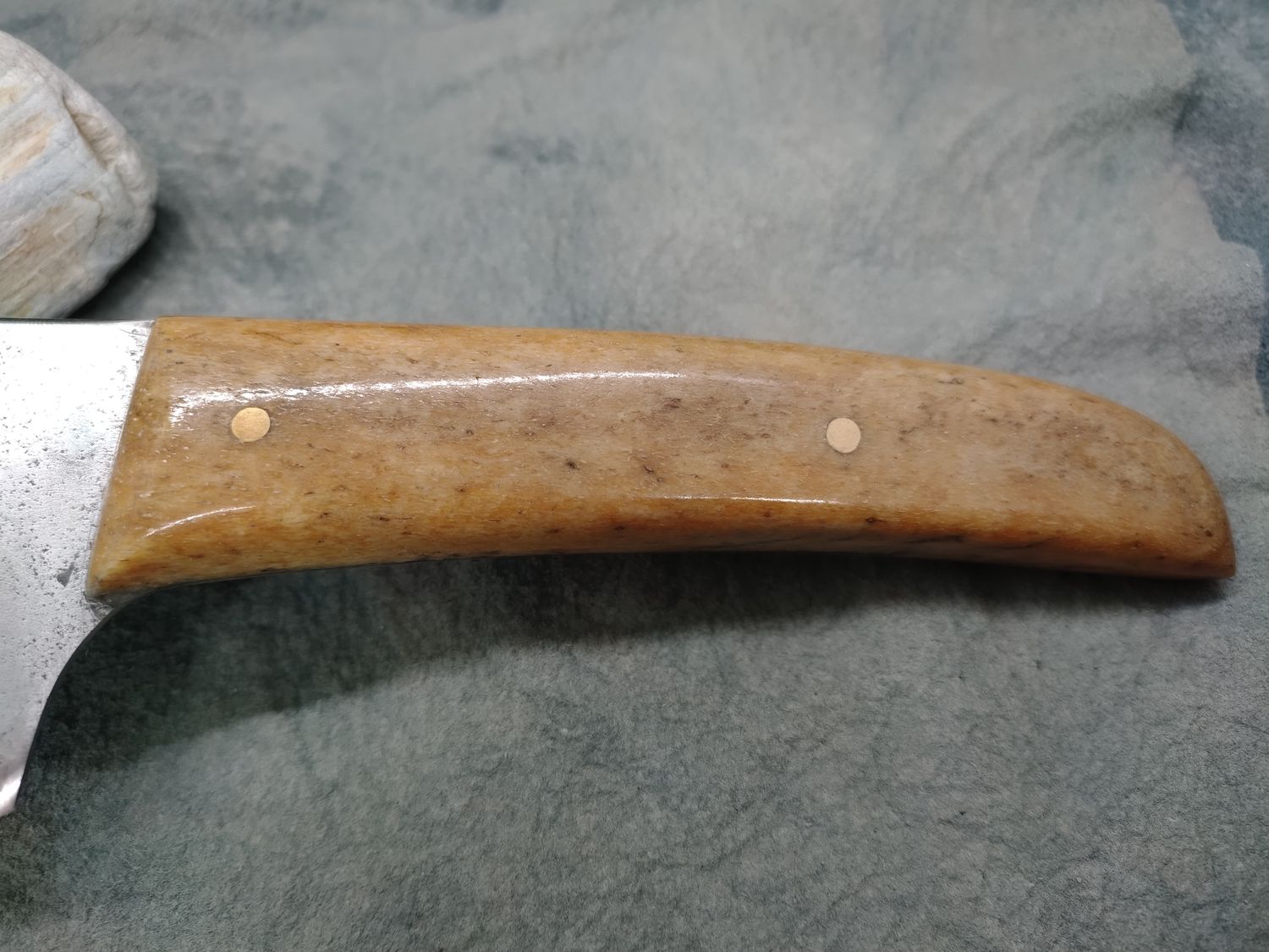High Carbon Steel and Stellar Sea Cow Bone Cleaver Knife
