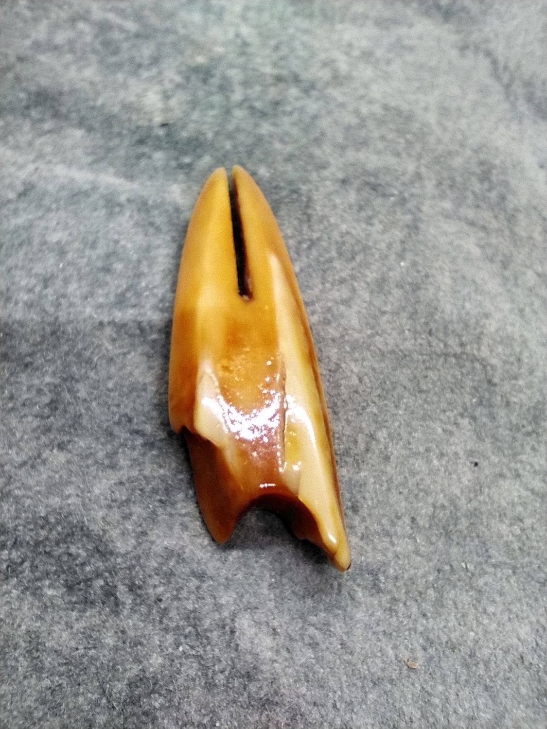 Harpoon Head