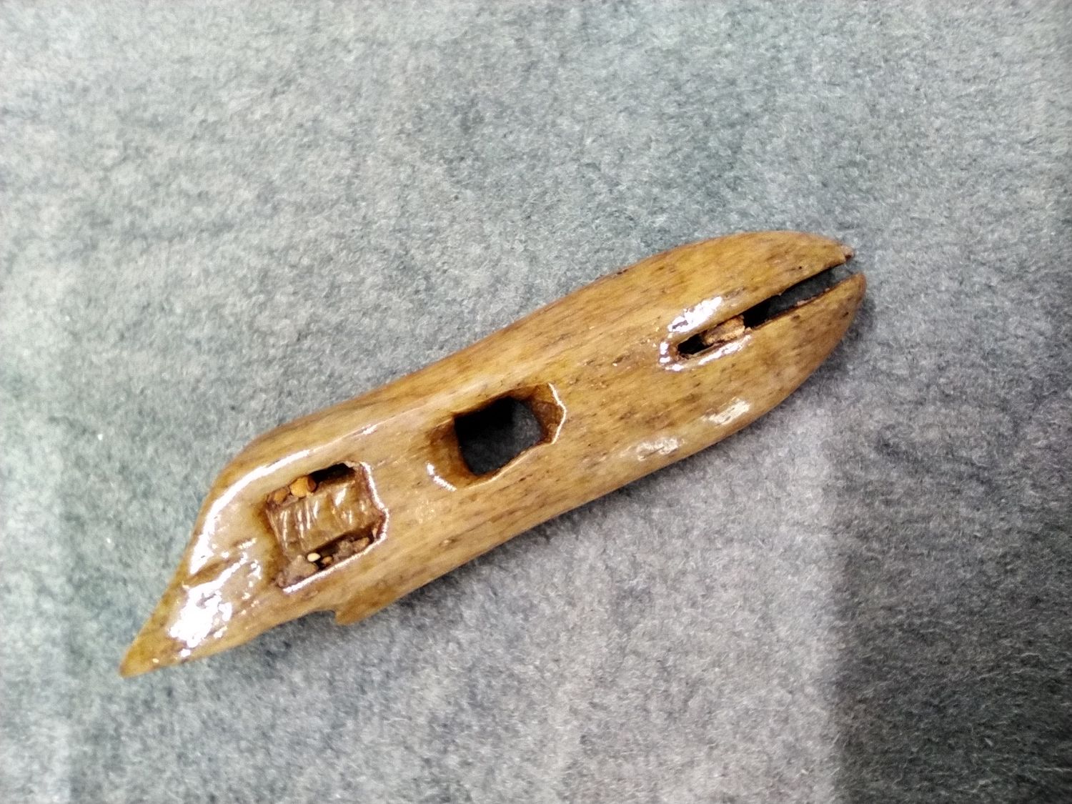 Harpoon Head