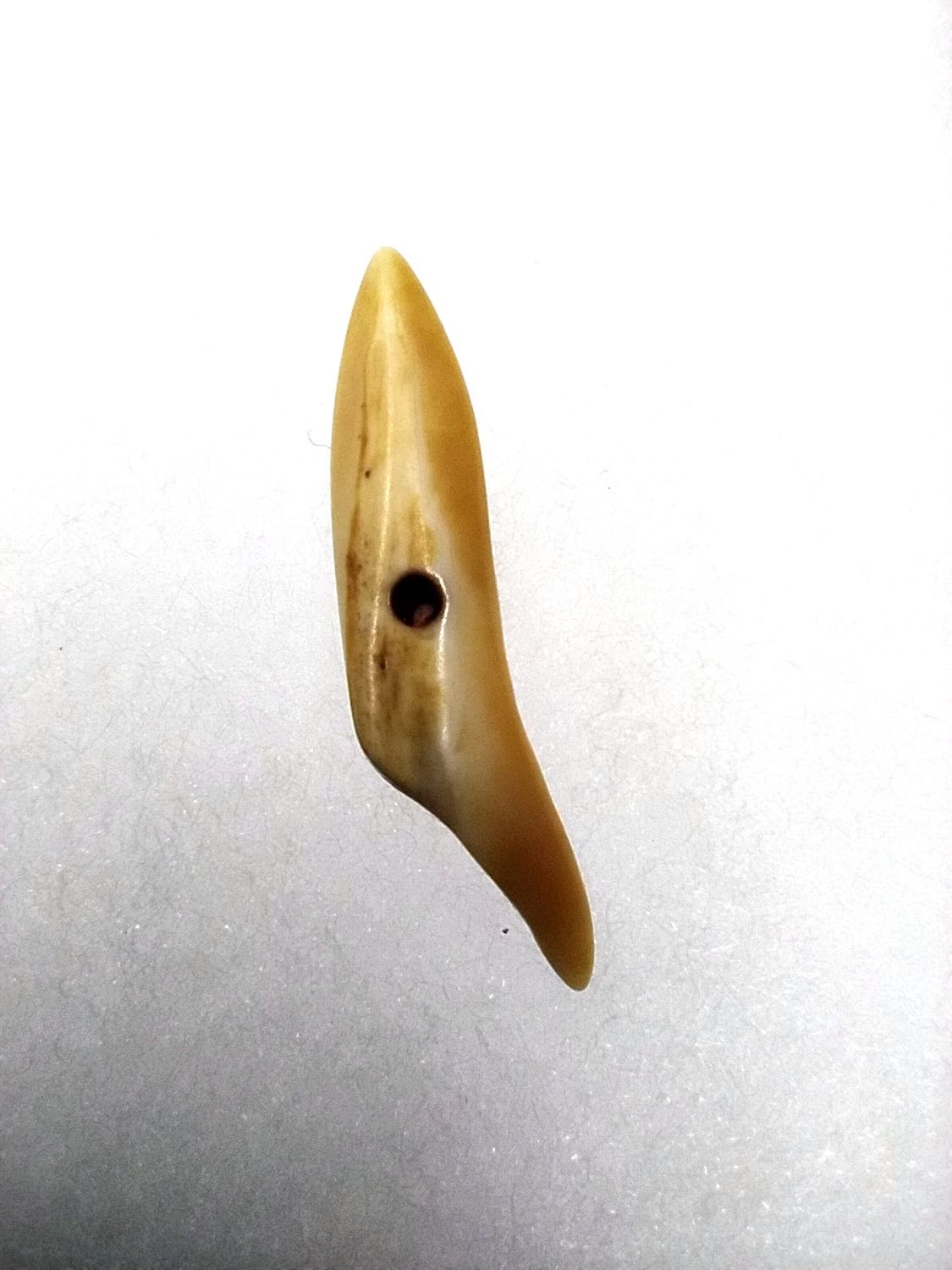 Miniature Harpoon Heads 11 Piece Collection