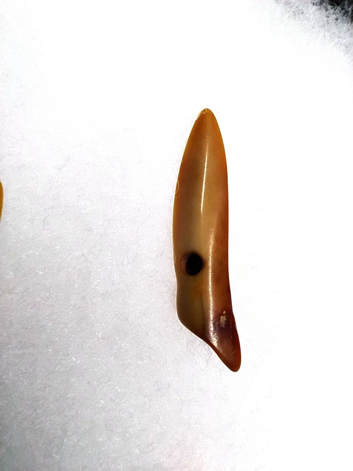 Miniature Harpoon Heads 11 Piece Collection