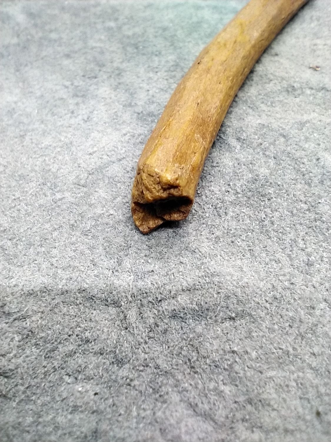 Sewing Needle
