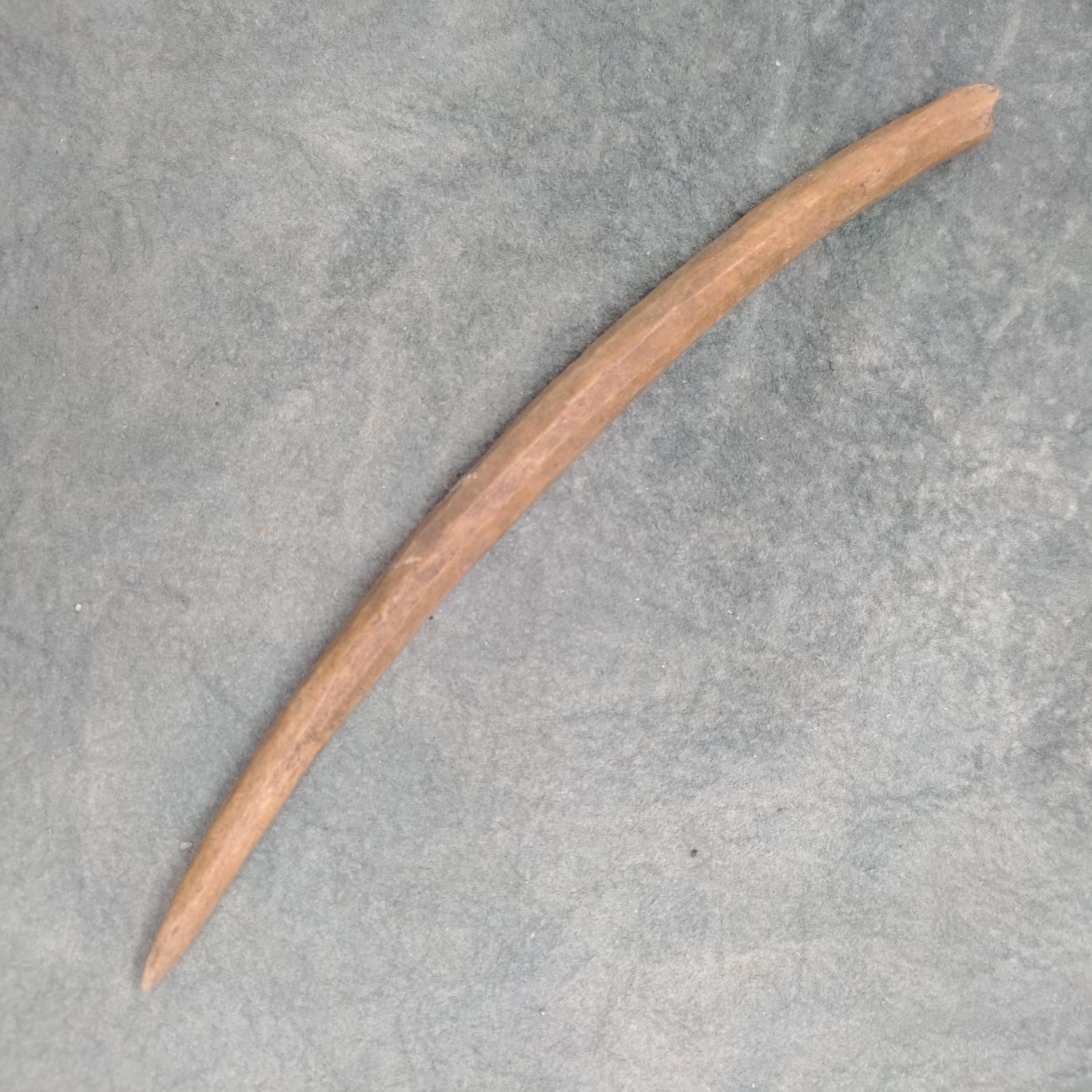 Sewing Needle