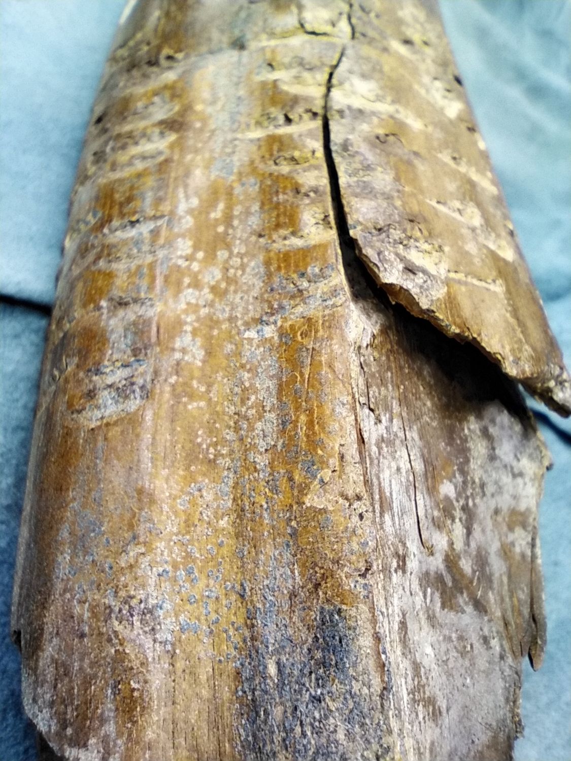 Ice Ax