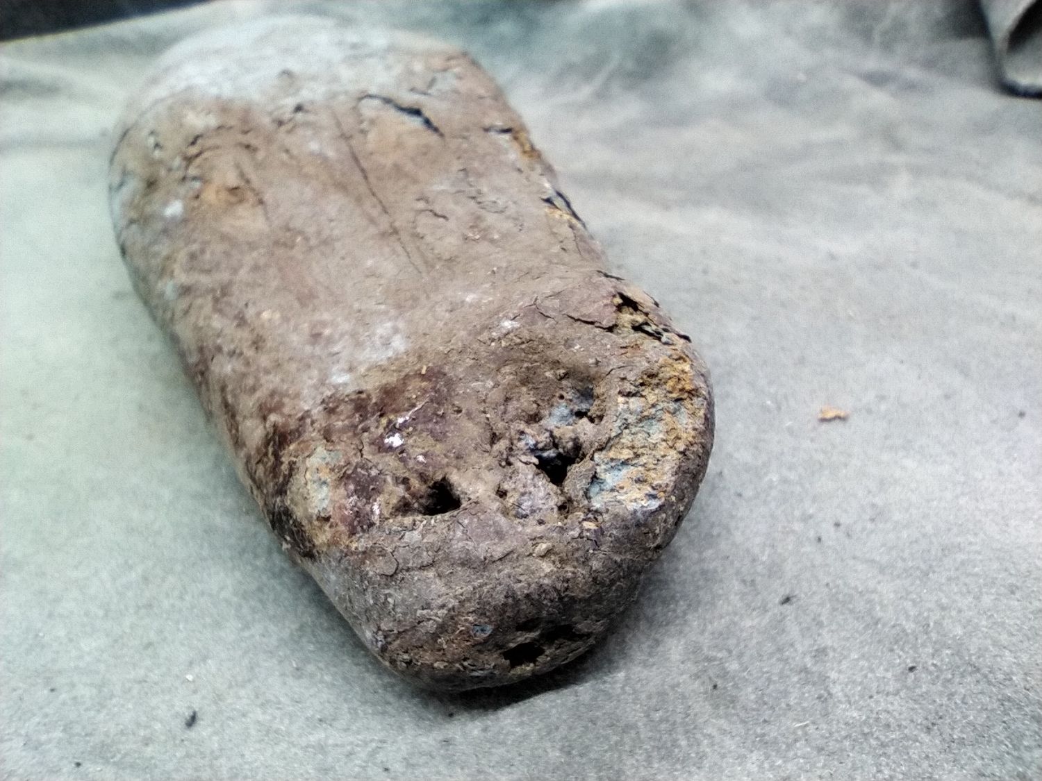 Lot 1: Fossil Walrus Ivory 