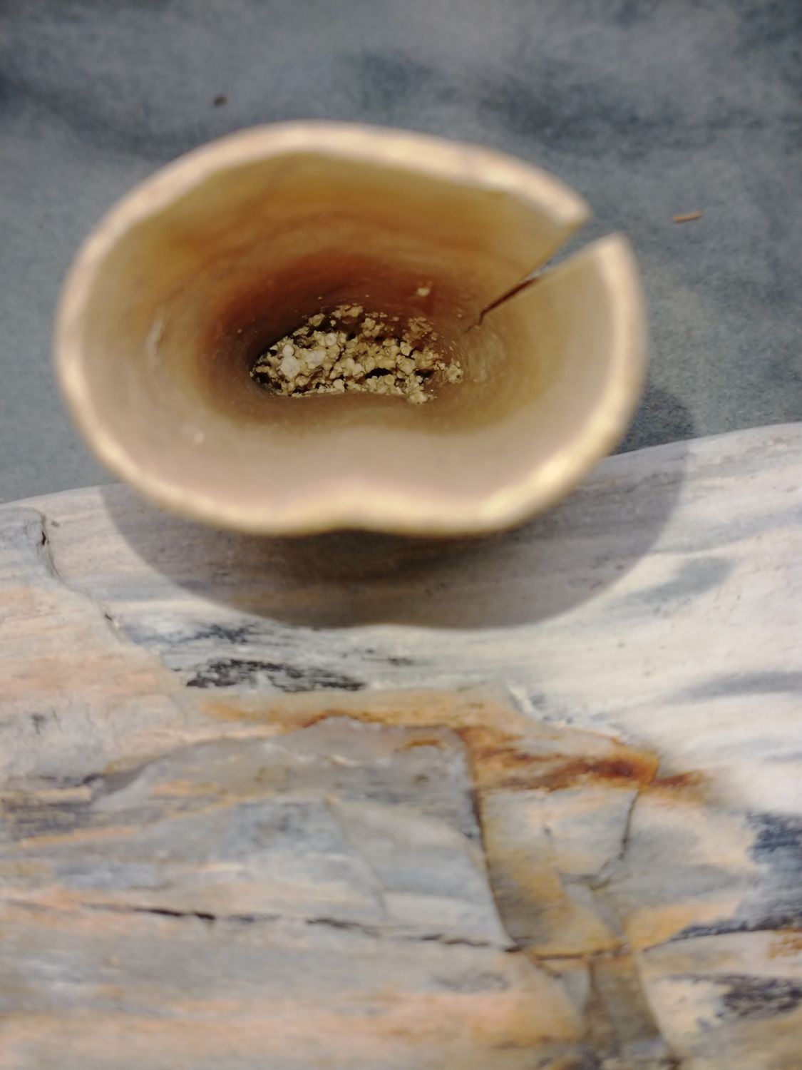 Lot 1: Fossil Walrus Ivory 