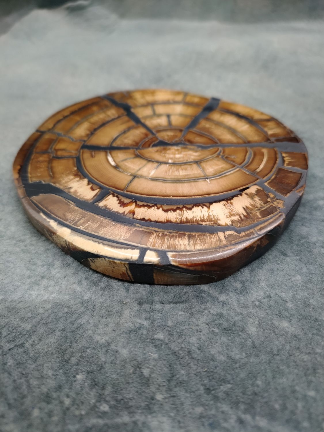 Mammoth Ivory Cross Section 