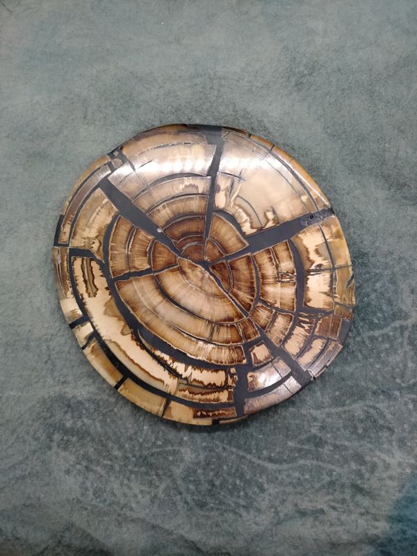 Mammoth Ivory Cross Section 