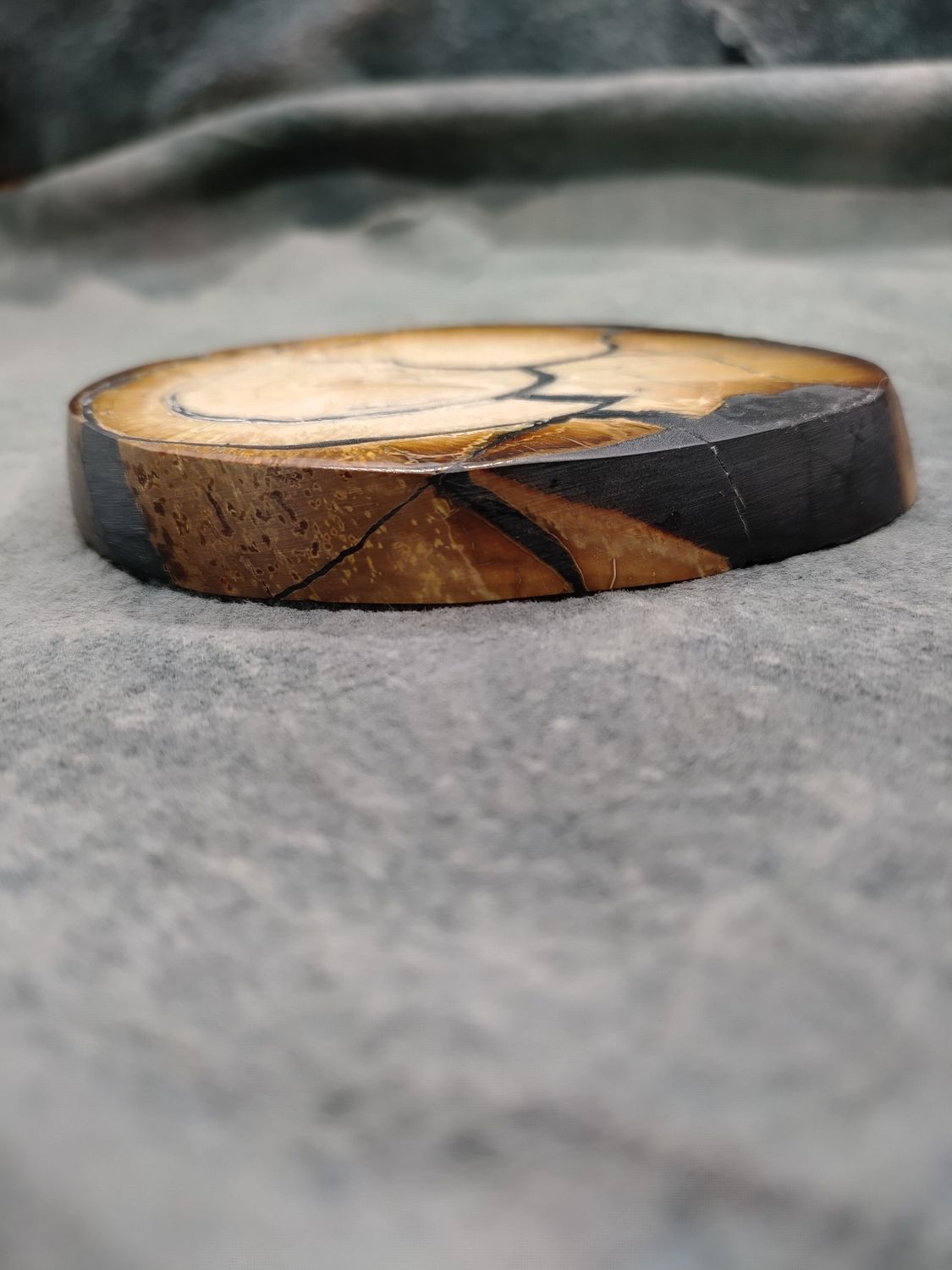 Mammoth Ivory Cross Section 