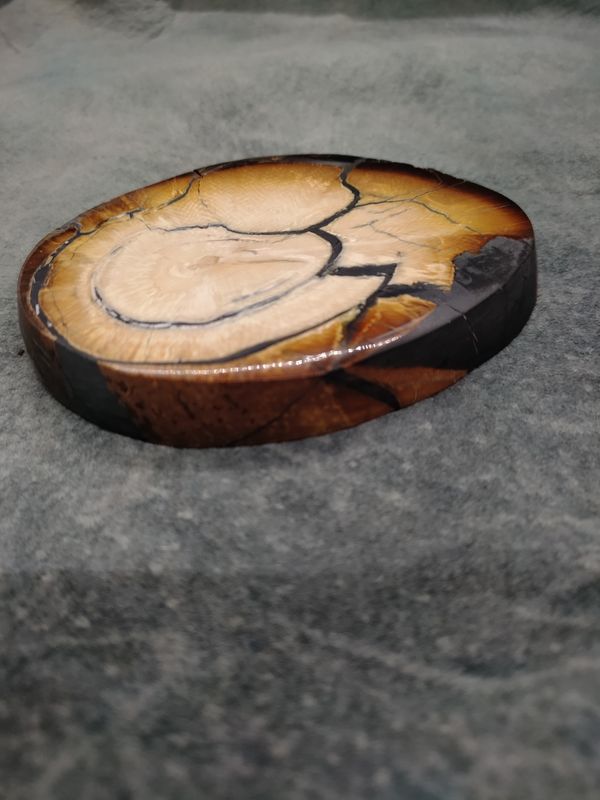 Mammoth Ivory Cross Section 