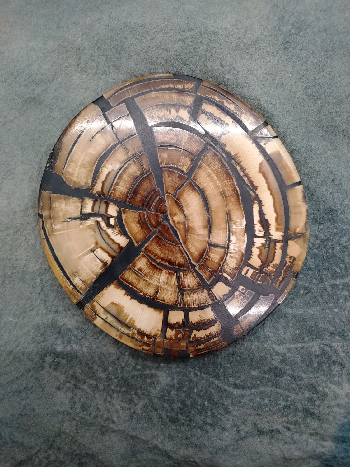 Mammoth Ivory Cross Section 