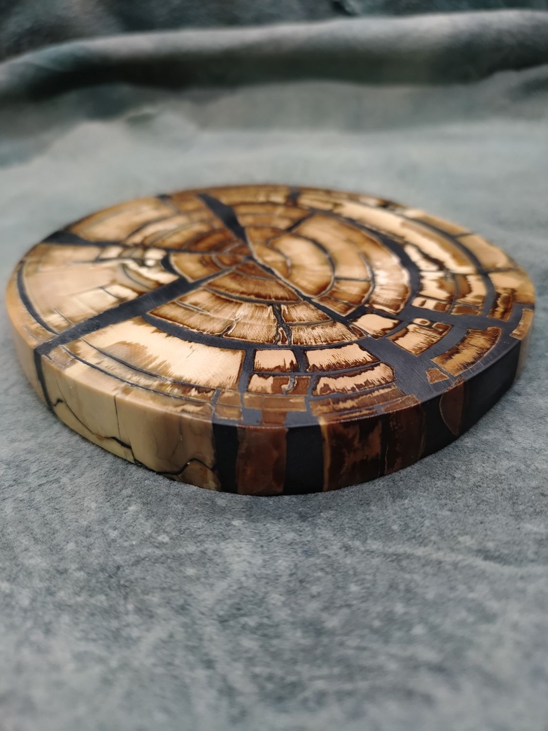 Mammoth Ivory Cross Section 