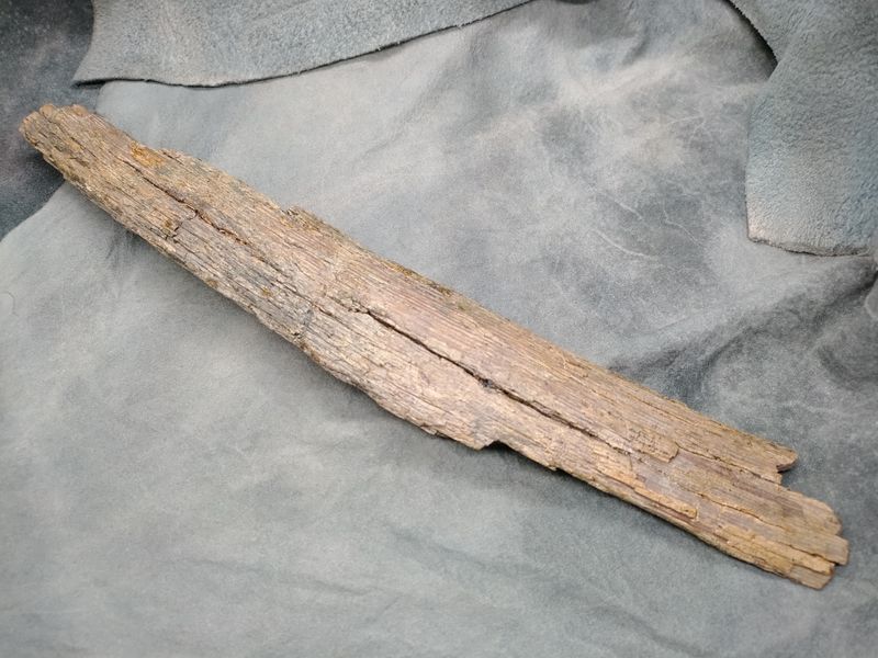 Woolly Mammoth Tusk #3