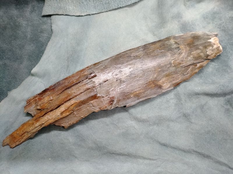 Woolly Mammoth Tusk #4