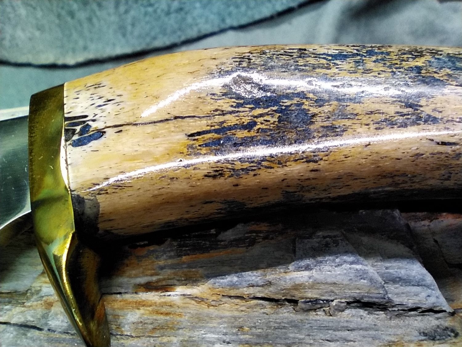 8&quot; Hunter with Fossilized Walrus Rib Bone handle