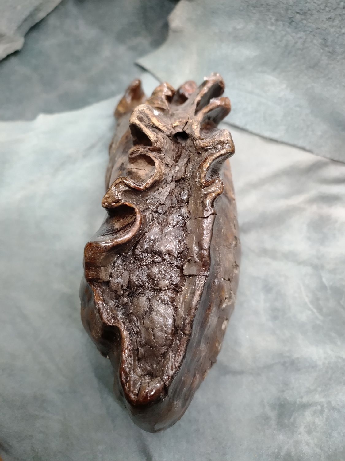 Woolly Mammoth Tooth #1