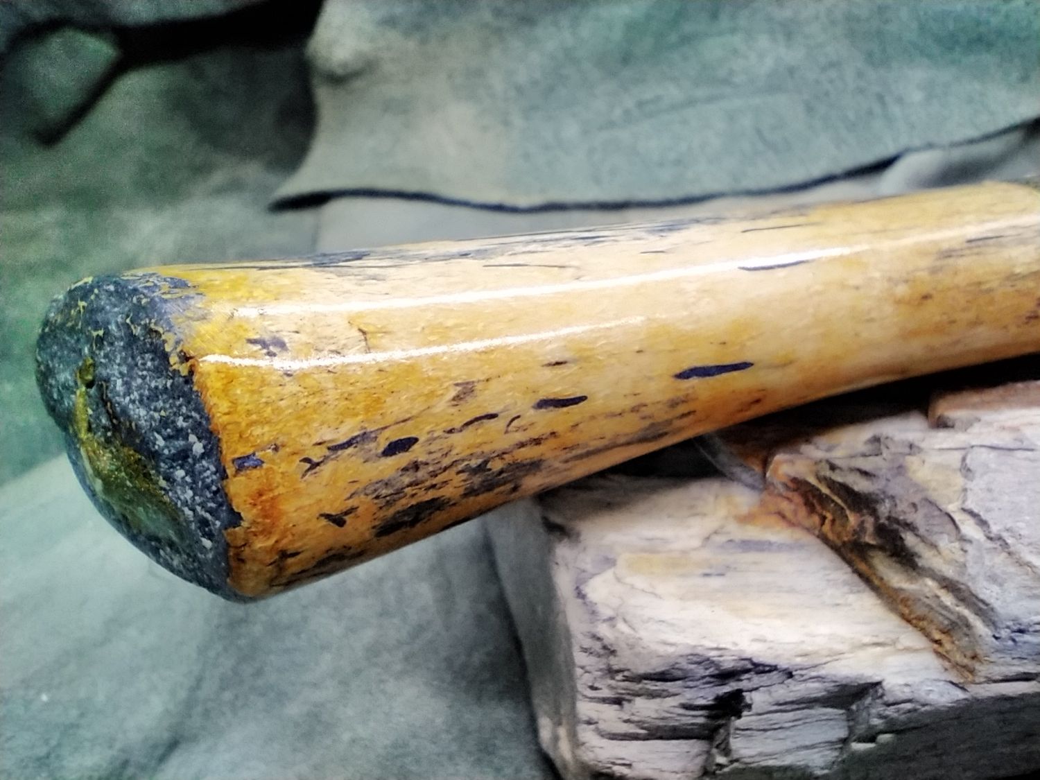 8&quot; Hunter with Fossilized Walrus Rib Bone handle