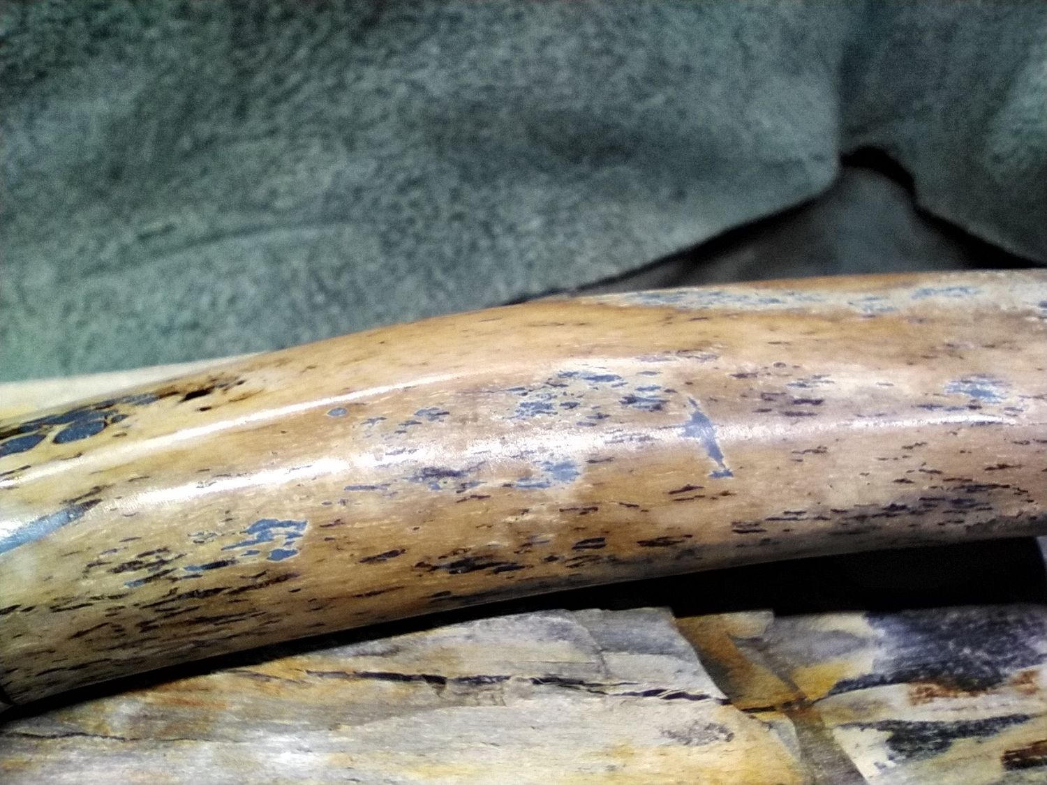 10&quot; Hunter with Fossilized Walrus Rib Bone handle