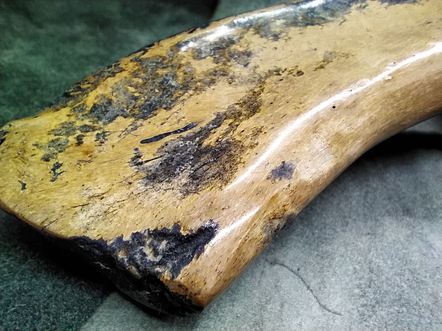 11.5&quot; Hunter with Fossilized Walrus Rib Bone handle