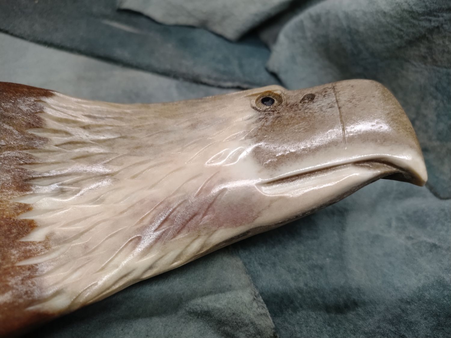 Hanging Eagle 