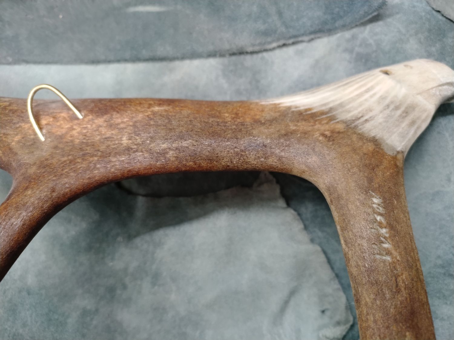 Hanging Eagle 