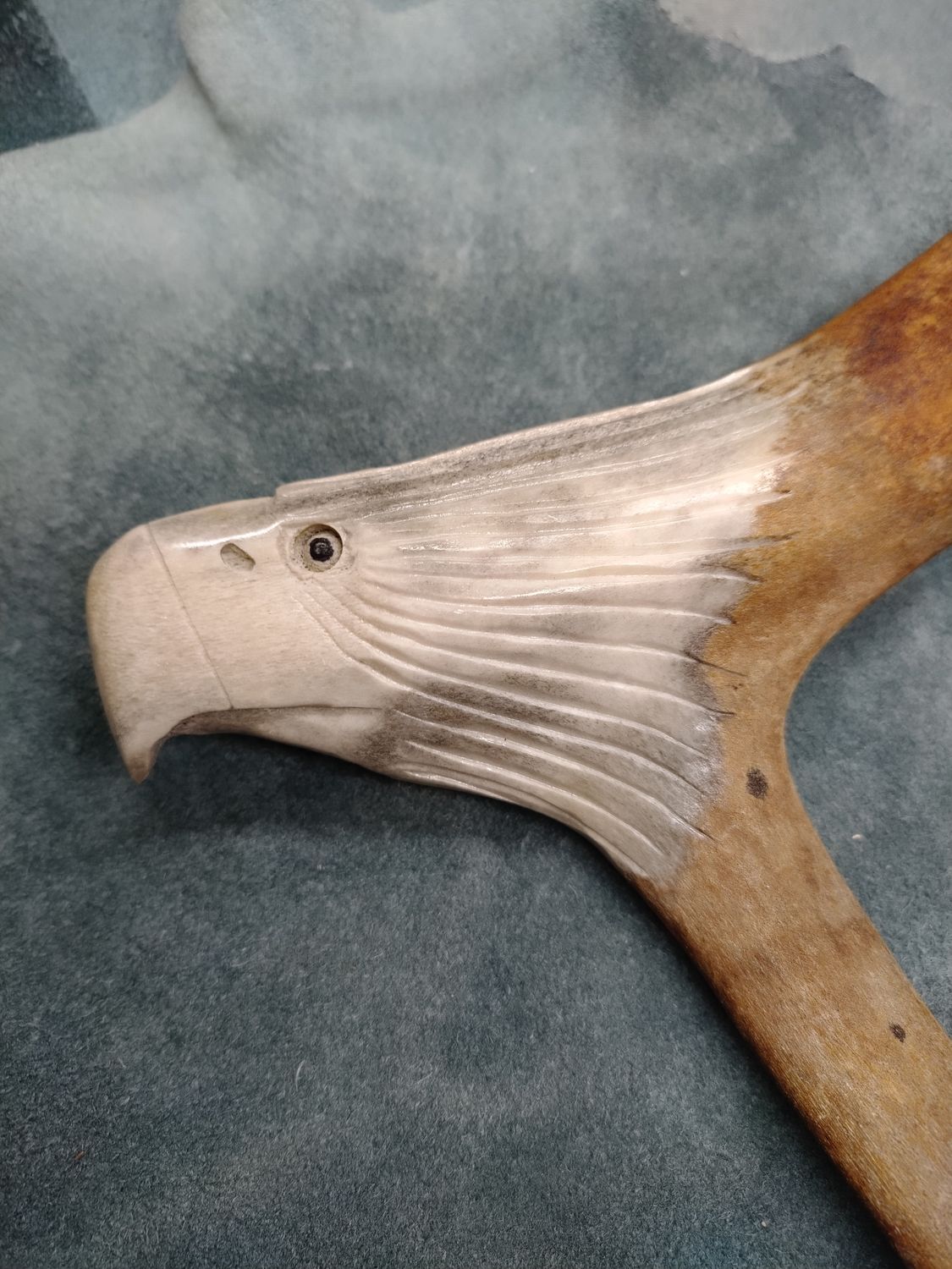 Hanging Eagle 