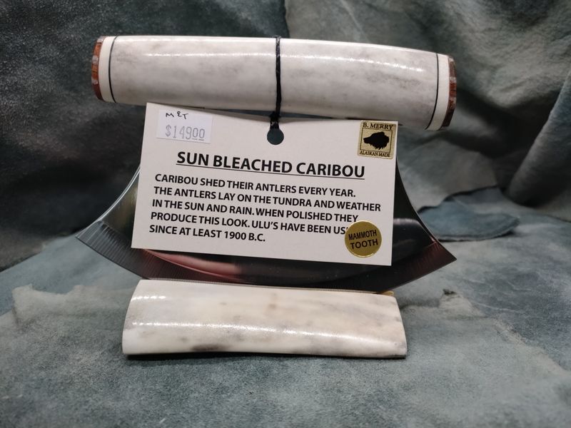 Sun Bleached Caribou Antler Ulu