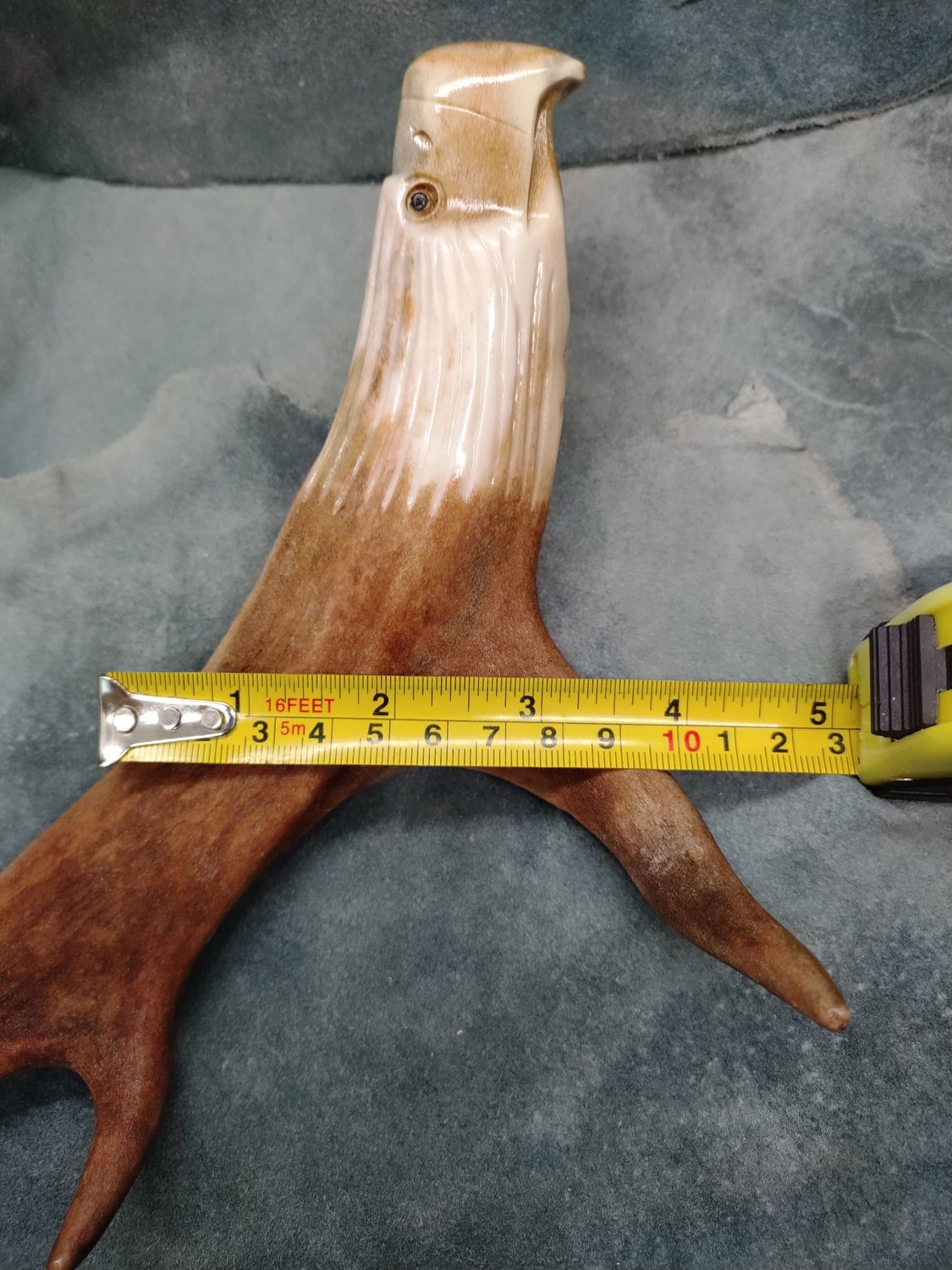 Hanging Eagle 