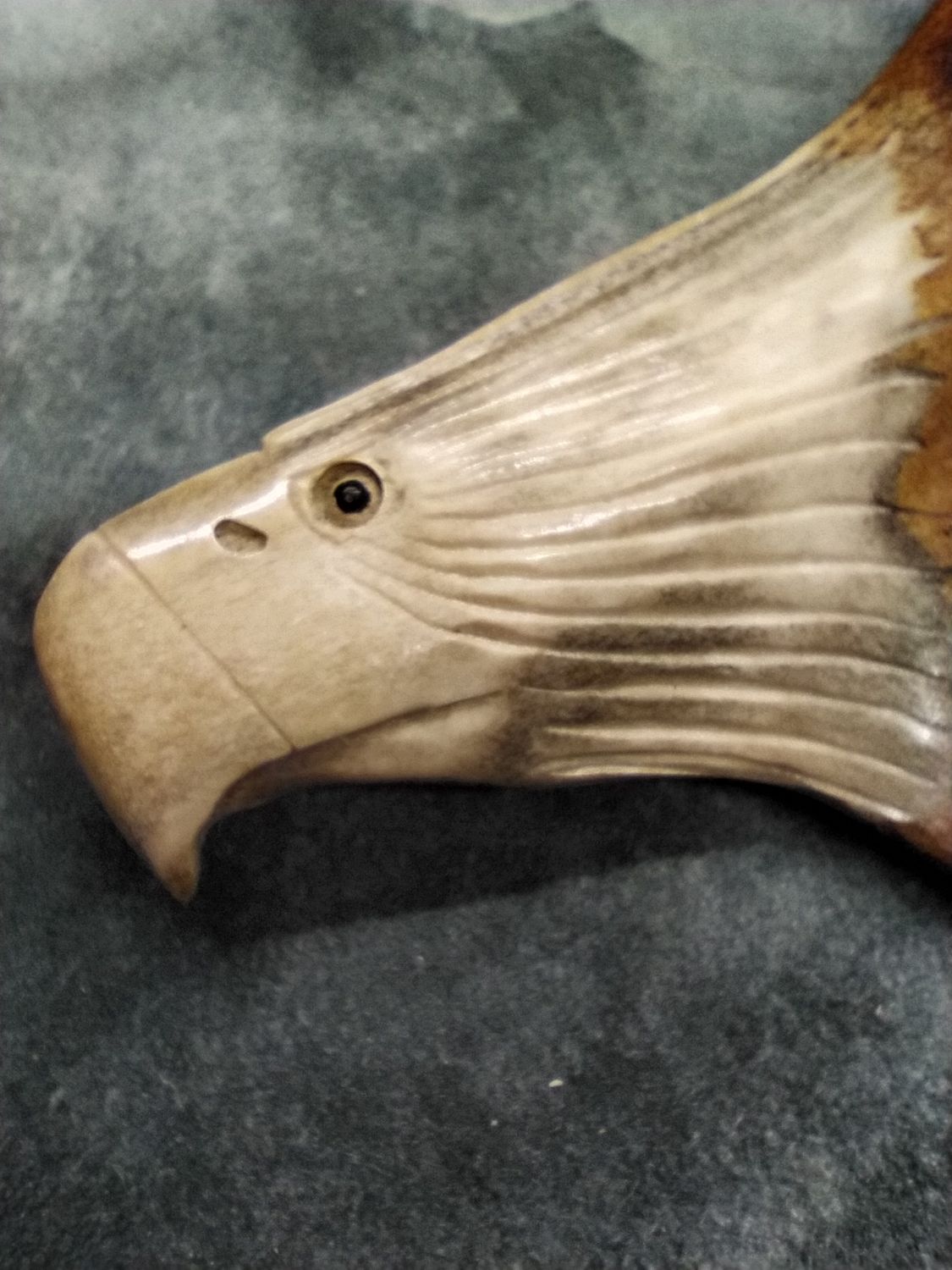 Hanging Eagle 