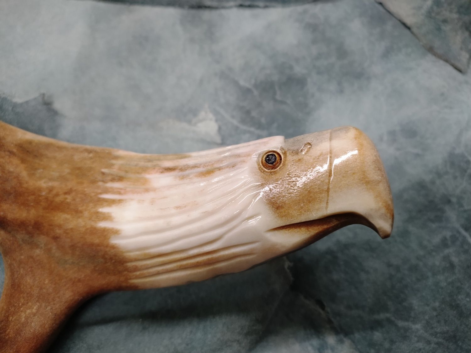 Hanging Eagle 