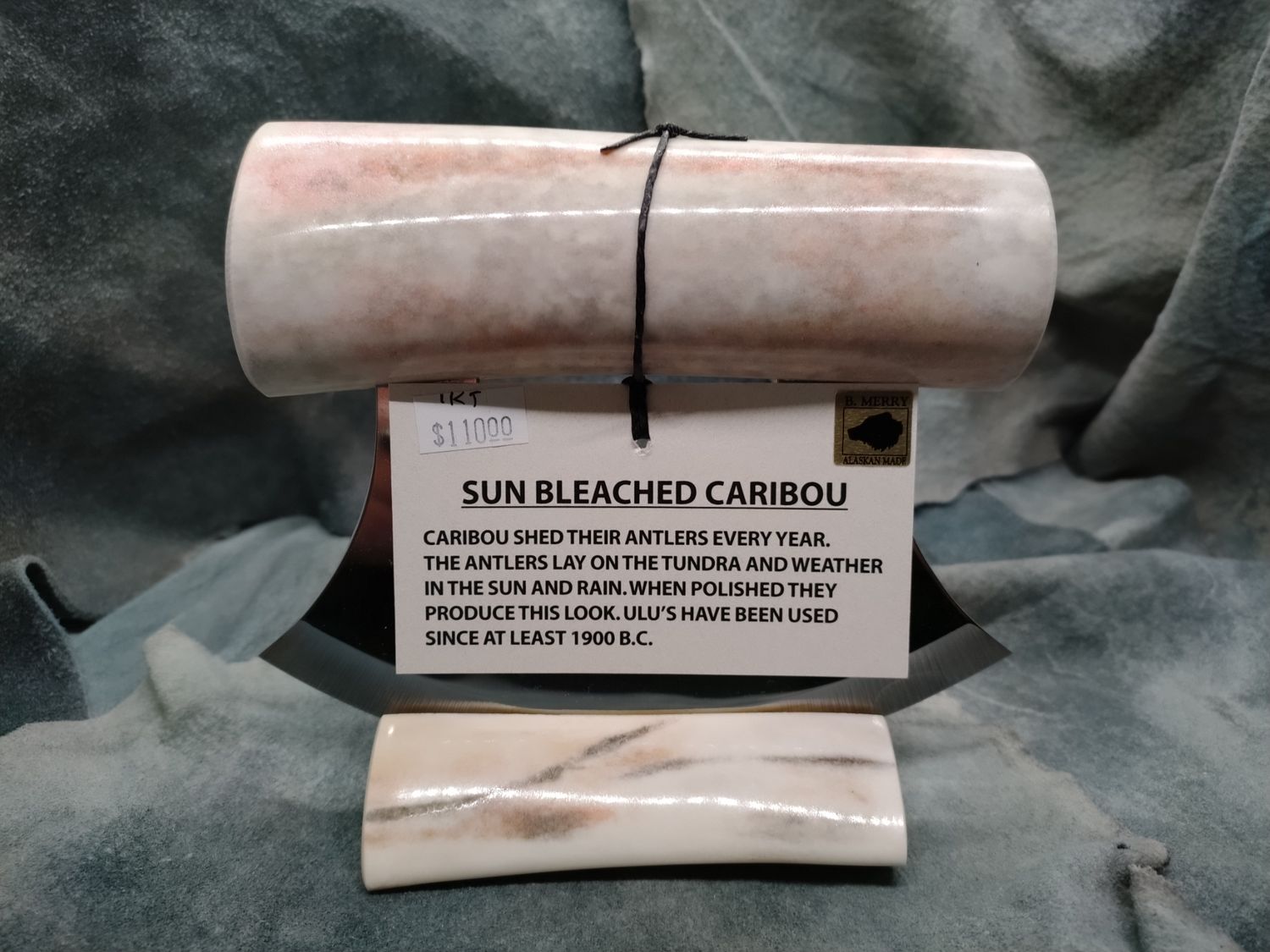 Sun Bleached Caribou Antler Ulu