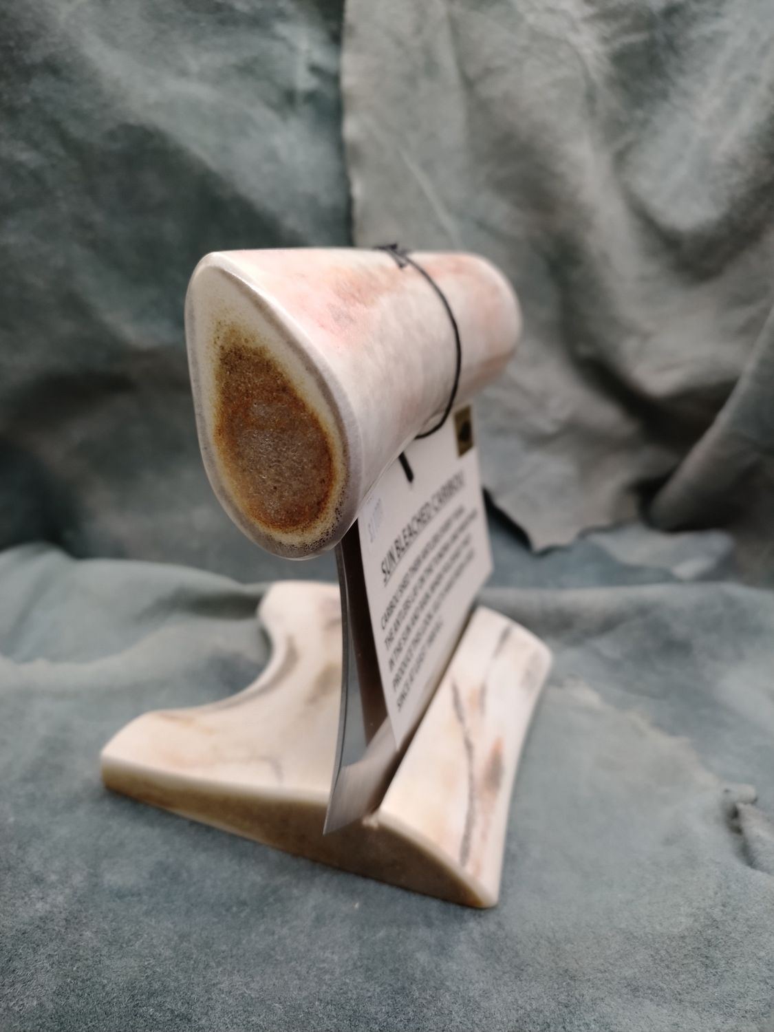 Sun Bleached Caribou Antler Ulu