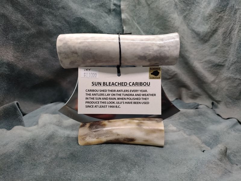 Sun Bleached Caribou Antler Ulu