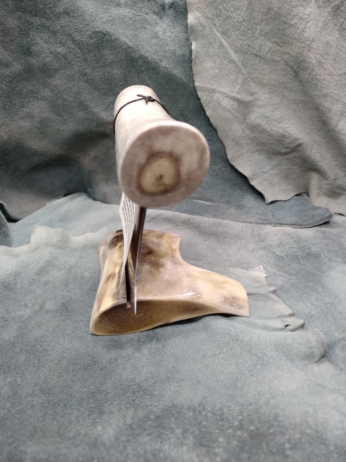 Sun Bleached Caribou Antler Ulu
