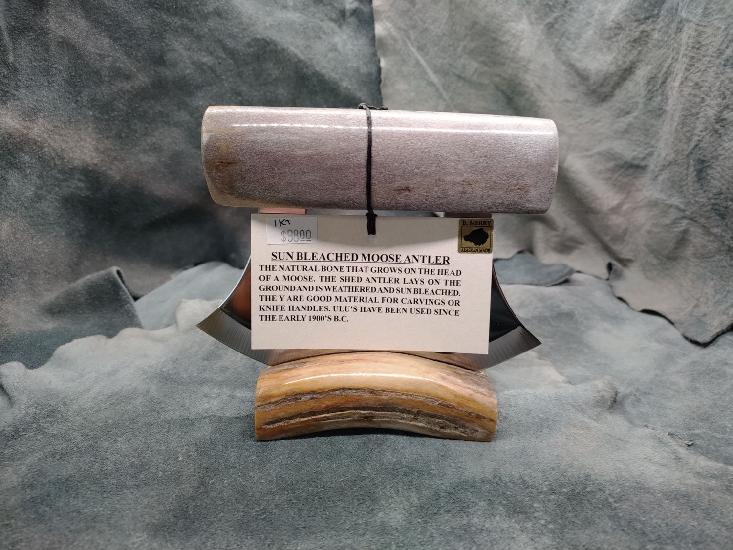 Sun Bleached Moose Antler Ulu