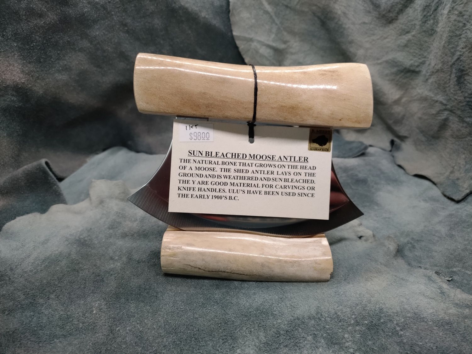 Sun Bleached Moose Antler Ulu