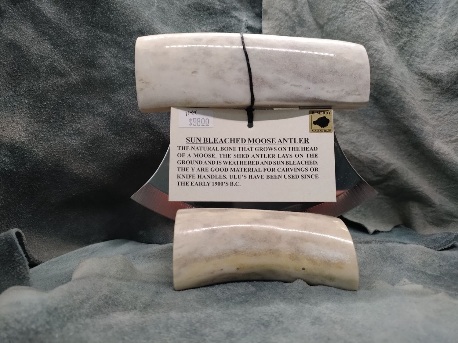 Sun Bleached Moose Antler Ulu