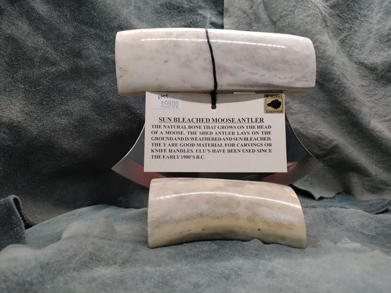 Sun Bleached Moose Antler Ulu